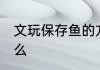 文玩保存鱼的方法 储存鱼的方法是什么