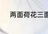 两面荷花三面柳的下一句是什么