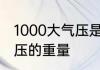 1000大气压是多少公斤一个标准大气压的重量