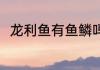 龙利鱼有鱼鳞吗 龙利鱼有没有鱼鳞