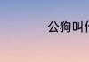 公狗叫什么名字霸气