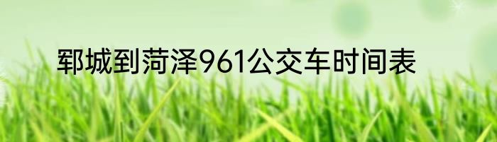 郓城到菏泽961公交车时间表