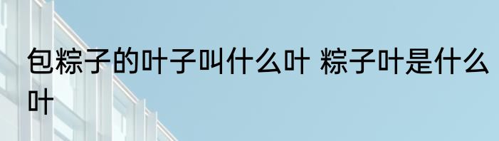 包粽子的叶子叫什么叶 粽子叶是什么叶