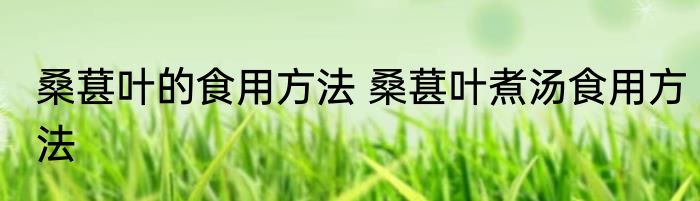 桑葚叶的食用方法 桑葚叶煮汤食用方法