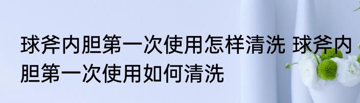 球斧内胆第一次使用怎样清洗 球斧内胆第一次使用如何清洗