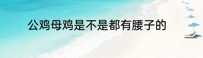 公鸡母鸡是不是都有腰子的