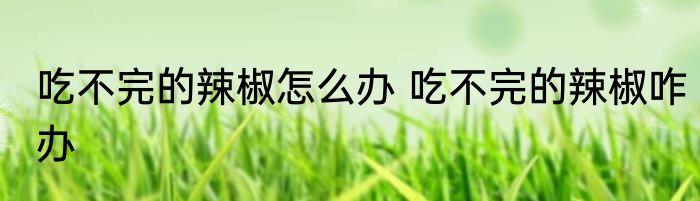 吃不完的辣椒怎么办 吃不完的辣椒咋办