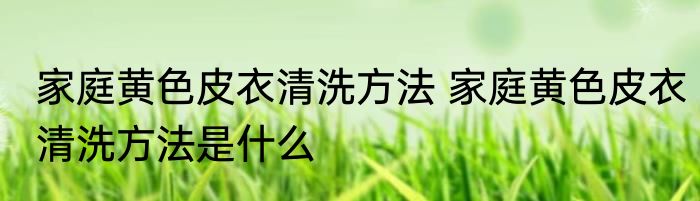 家庭黄色皮衣清洗方法 家庭黄色皮衣清洗方法是什么