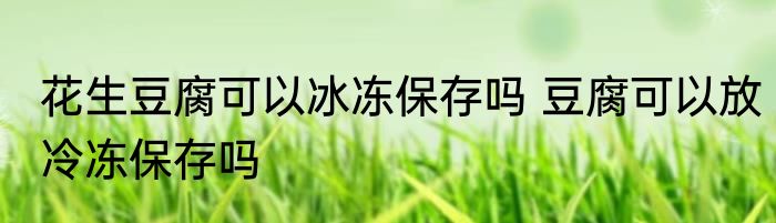 花生豆腐可以冰冻保存吗 豆腐可以放冷冻保存吗