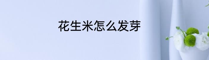花生米怎么发芽