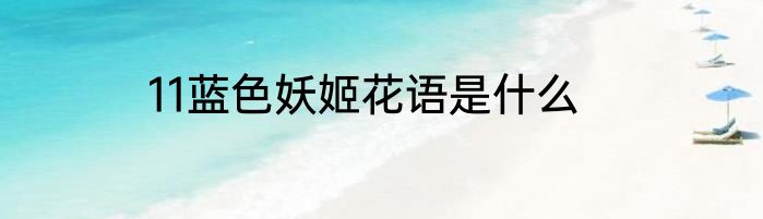 11蓝色妖姬花语是什么