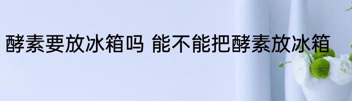 酵素要放冰箱吗 能不能把酵素放冰箱