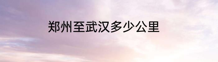 郑州至武汉多少公里