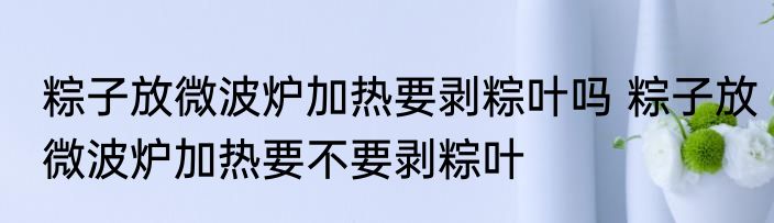 粽子放微波炉加热要剥粽叶吗 粽子放微波炉加热要不要剥粽叶