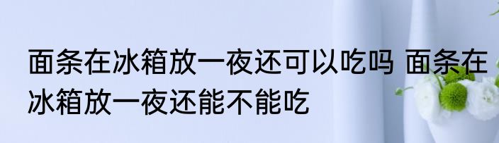 面条在冰箱放一夜还可以吃吗 面条在冰箱放一夜还能不能吃