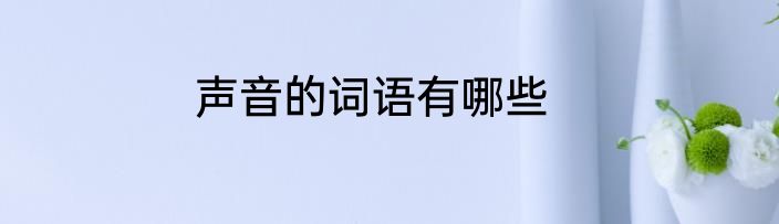 声音的词语有哪些