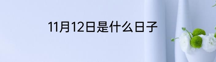 11月12日是什么日子