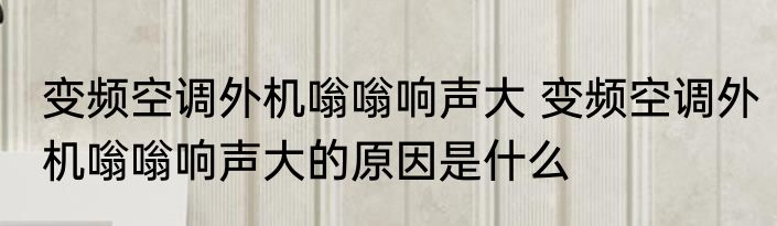 变频空调外机嗡嗡响声大 变频空调外机嗡嗡响声大的原因是什么