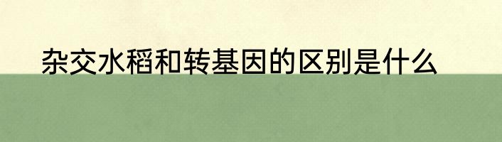 杂交水稻和转基因的区别是什么