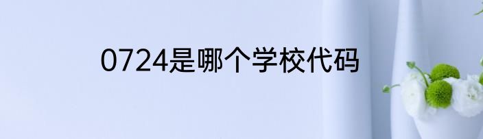 0724是哪个学校代码