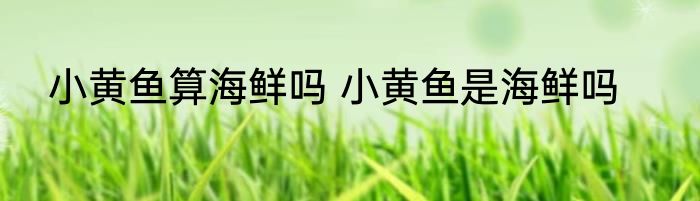 小黄鱼算海鲜吗 小黄鱼是海鲜吗