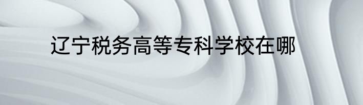 辽宁税务高等专科学校在哪