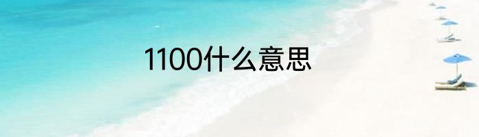 1100什么意思