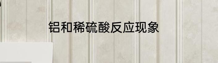 铝和稀硫酸反应现象