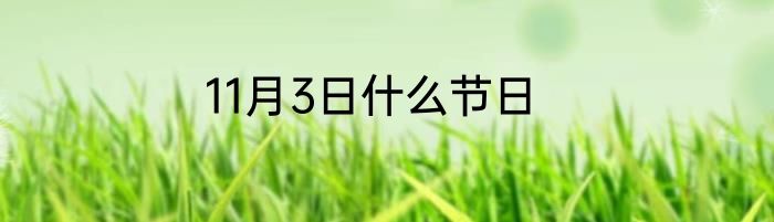 11月3日什么节日