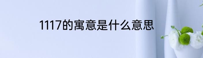 1117的寓意是什么意思