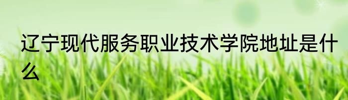 辽宁现代服务职业技术学院地址是什么