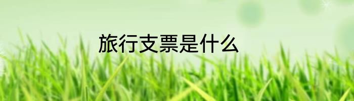 旅行支票是什么