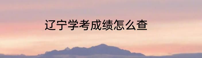 辽宁学考成绩怎么查