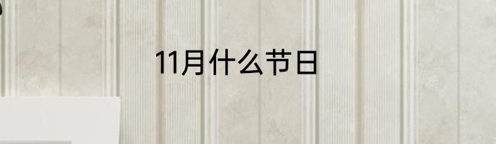 11月什么节日
