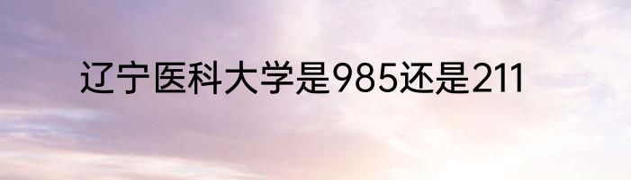 辽宁医科大学是985还是211