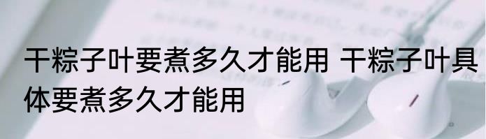 干粽子叶要煮多久才能用 干粽子叶具体要煮多久才能用