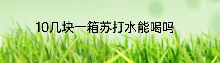 10几块一箱苏打水能喝吗