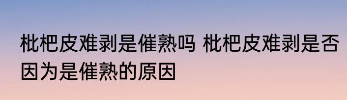 枇杷皮难剥是催熟吗 枇杷皮难剥是否因为是催熟的原因