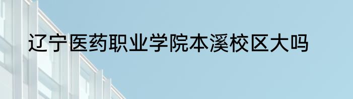 辽宁医药职业学院本溪校区大吗