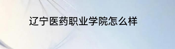 辽宁医药职业学院怎么样