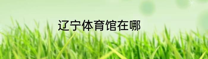 辽宁体育馆在哪