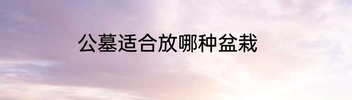 公墓适合放哪种盆栽