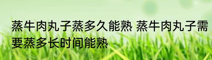 蒸牛肉丸子蒸多久能熟 蒸牛肉丸子需要蒸多长时间能熟