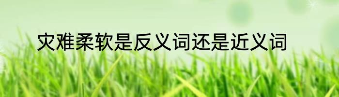 灾难柔软是反义词还是近义词