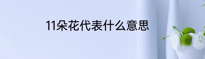 11朵花代表什么意思