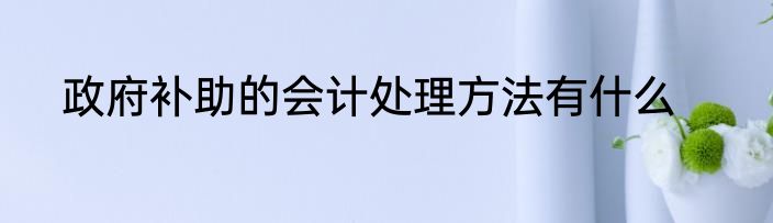 政府补助的会计处理方法有什么