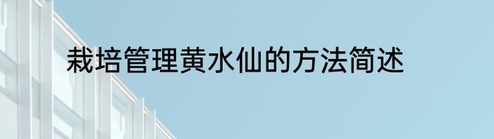 栽培管理黄水仙的方法简述