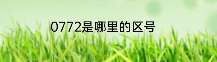 0772是哪里的区号