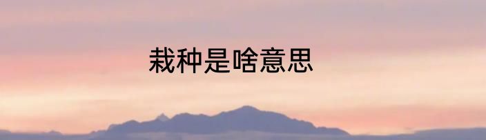 栽种是啥意思