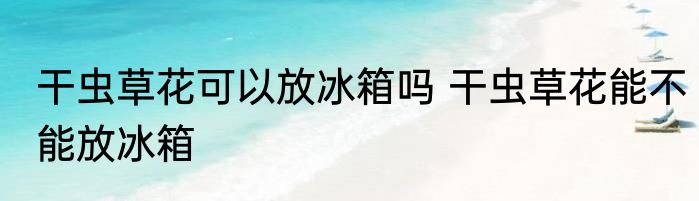 干虫草花可以放冰箱吗 干虫草花能不能放冰箱